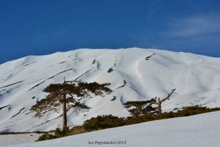 Monte Conca